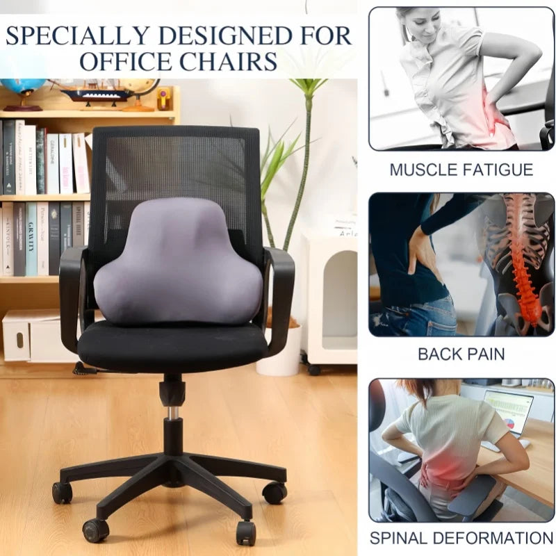 HEALTENCE Memory Foam Lumbar Cushion – Multifunctional Back Support