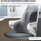 HEALTENCE Memory Foam Lumbar Cushion – Multifunctional Back Support