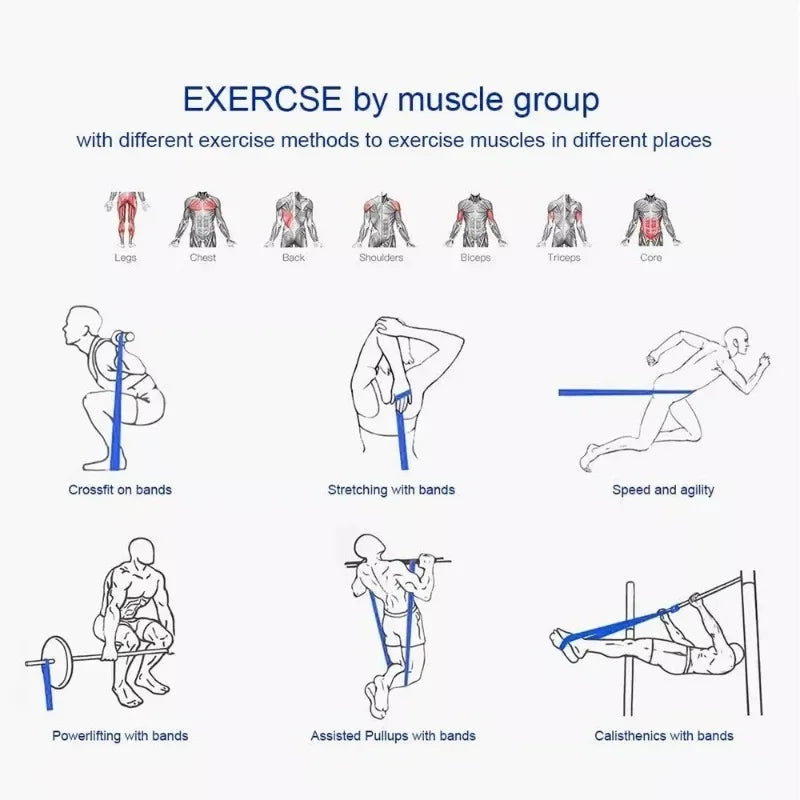 Resistance Bands – Elastic Exercise Bands for Home Yoga, Gym & Power Pull-Up Assist Bodybuilding