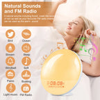 Sunrise Alarm Clock with Wake Up Light
