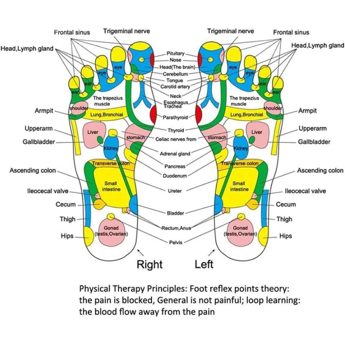 Acupressure Foot Reflexology Massage Pad – Health Care Walking Pressure Pad for Foot Massager