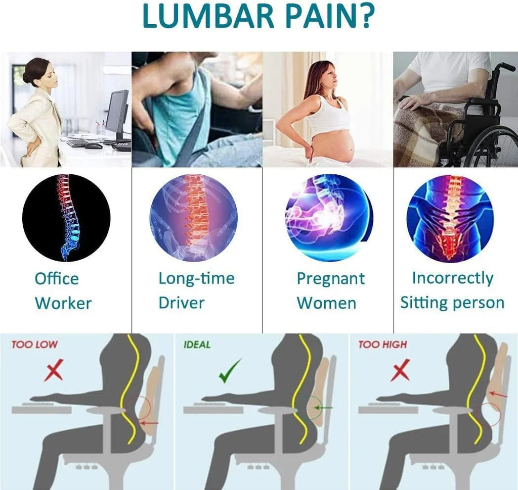 HEALTENCE Memory Foam Lumbar Back Cushion – Ergonomic Car & Office Support