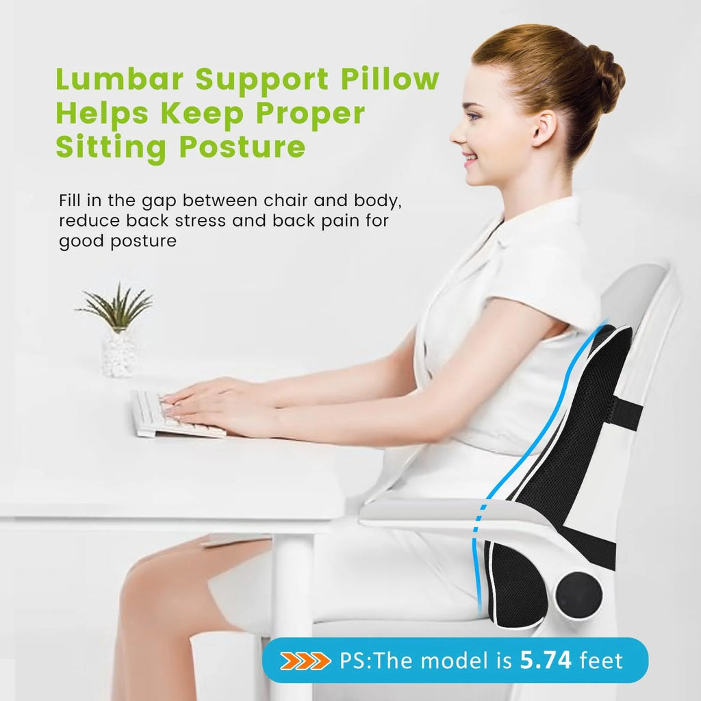 HEALTENCE Memory Foam Lumbar Back Cushion – Ergonomic Car & Office Support